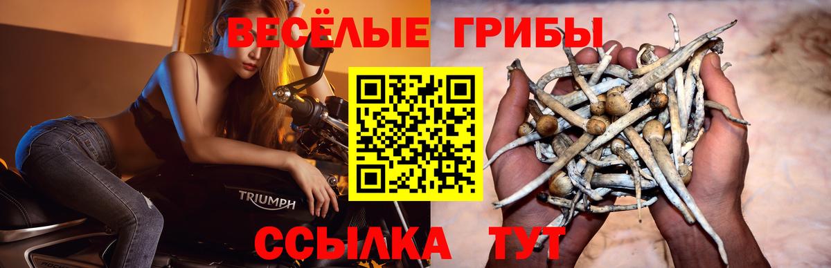 Галлюциногенные грибы ЛСД  Вход с VPN  Советский 